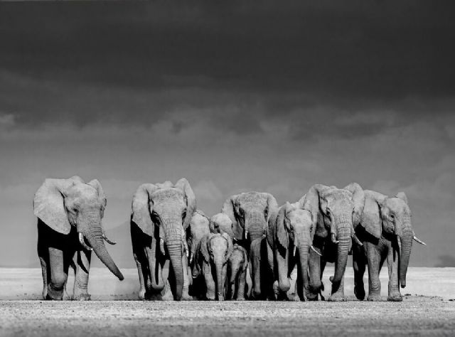 El español José Miguel Angulo Manso, gana el primer premio de los ´International Photography Awards – 2024´ - 1, Foto 1