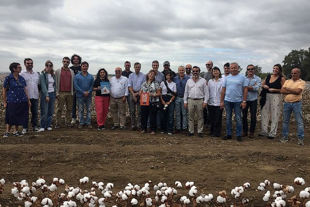 Representantes de los sectores algodonero y de la moda visitan los campos de algodón andaluces con EUCOTTON - 1, Foto 1