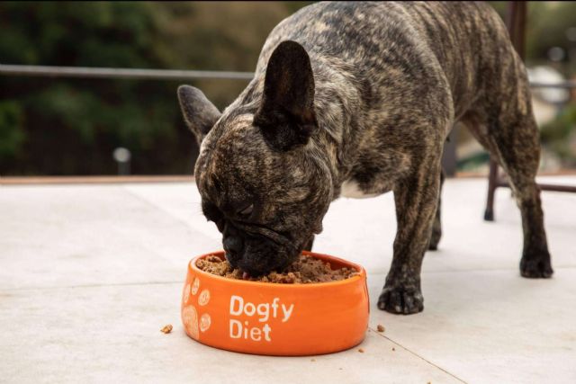 Las ventajas de adquirir comida natural para alimentar a un perro de raza pomerania - 1, Foto 1