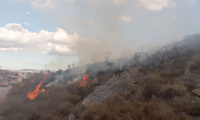 Incendio en una rambla, entre los colegios Alfonso X y Pérez de Hita, Lorca - 1, Foto 1