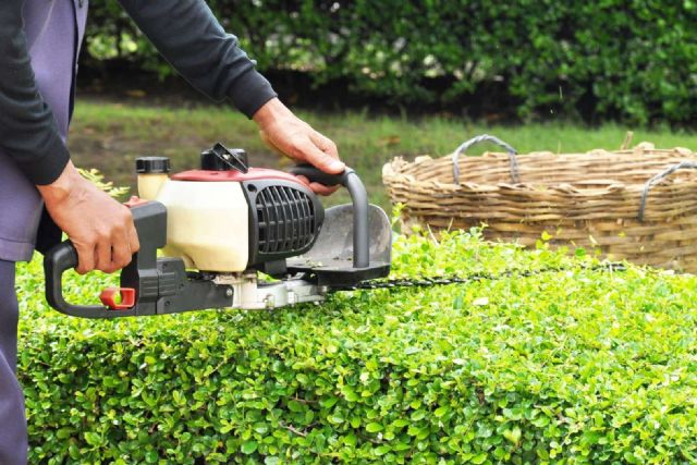 Un jardinero revierte la denegación de su incapacidad permanente gracias a una sentencia judicial - 1, Foto 1