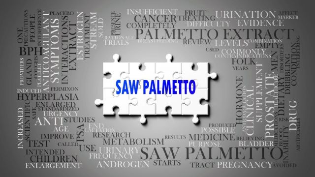 Saw Palmetto, de Serenoa Repens, potencia la salud prostática, urinaria y hormonal en hombres y mujeres - 1, Foto 1