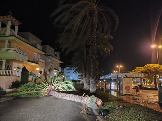 El temporal de viento y lluvia deja varios árboles, farolas y semáforos caídos - 1, Foto 1