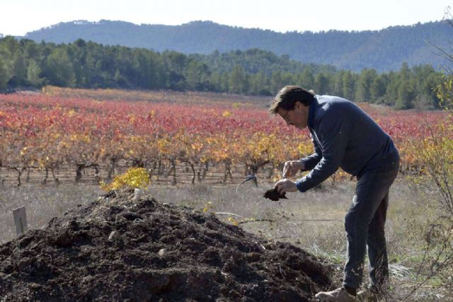 Bodegas Vegalfaro; vinos ecológicos de alta calidad desde el corazón de Valencia - 1, Foto 1