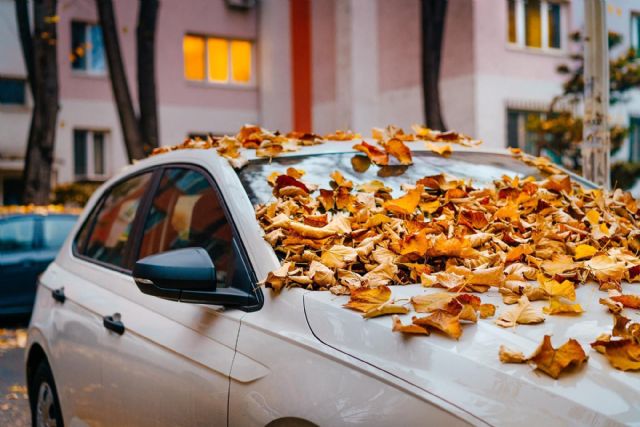 Talleres Murillo ofrece consejos para una conducción segura en otoño - 1, Foto 1