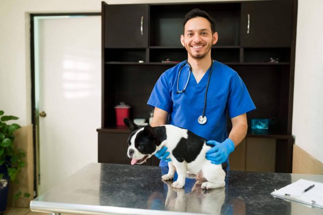 La importancia de la formación teórica en las áreas de la veterinaria - 1, Foto 1