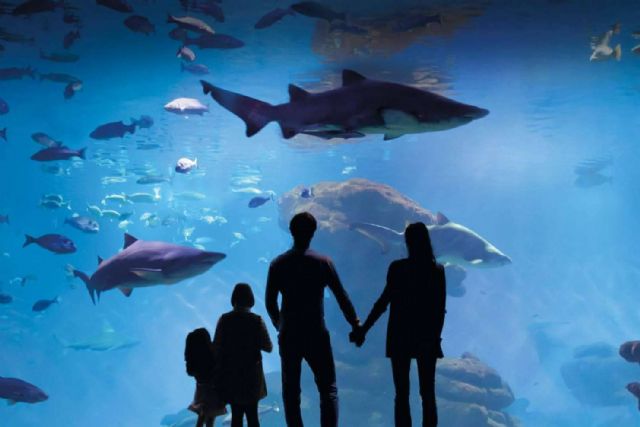 Vuelve la fiesta solidaria ´Yo También´ de Palma Aquarium a favor de la Fundación Respiralia - 1, Foto 1