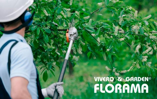 Viveros Florama: Soluciones profesionales para la poda de árboles en altura - 1, Foto 1