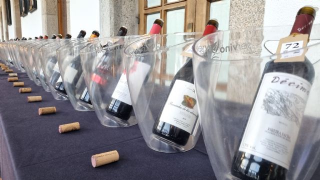 La Aproximación a los Vinos de la Provincia de Lugo celebra una edición récord con una masiva afluencia - 1, Foto 1