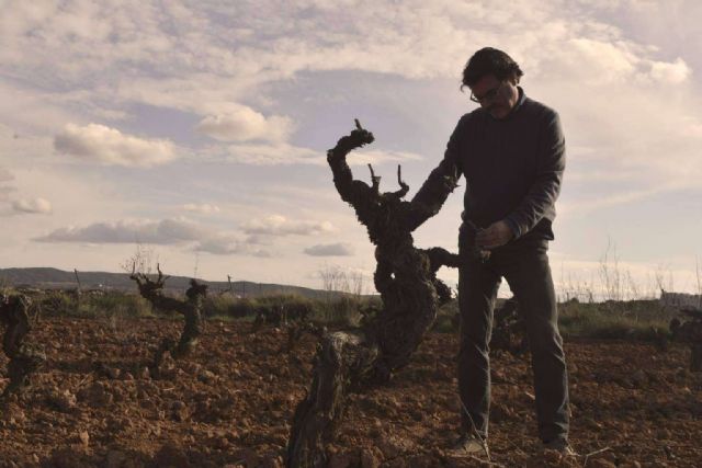 Bodegas Vegalfaro lidera el camino en vinos ecológicos y de calidad certificada - 1, Foto 1