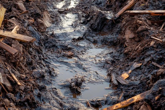 Documentación exhaustiva, clave para reclamar daños y acceder a ayudas tras la DANA - 1, Foto 1