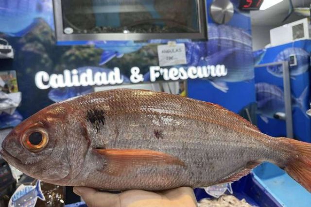 Pescadería Younes Ceuta, referencia en pescados y mariscos frescos del Mediterráneo - 1, Foto 1