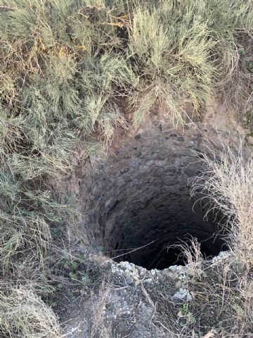 Rescatan a un perro que se había caído a un pozo en Caravaca de la Cruz - 1, Foto 1