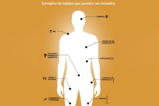 Un total de 6.780 personas donaron tejidos en España en 2023 - 1, Foto 1