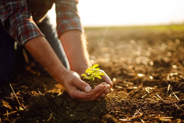 Plantaciones Agrícolas; nuevo directorio de empresas agrícolas para potenciar la visibilidad del sector - 1, Foto 1