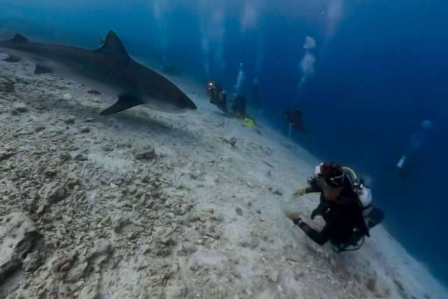 Rasdhoo y Fuvahmulah, un paraíso para buceadores en Maldivas - 1, Foto 1