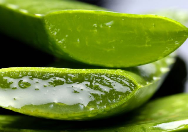 Ebanonatur se consolida como una tienda online de referencia en la venta de cosméticos elaborados a base de aloe vera - 1, Foto 1