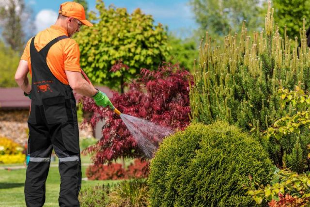 Jardinería profesional en Barcelona y provincia - 1, Foto 1