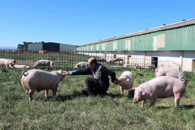 Las pequeñas explotaciones ganaderas son la verdadera resistencia del campo - 1, Foto 1