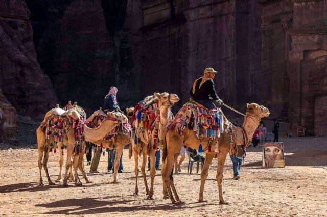 Nace el primer curso sobre turismo responsable con los animales para profesionales del sector - 1, Foto 1