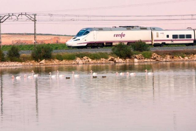 Transportes restablece el 16 de diciembre el tren entre Valencia y Alicante tras la DANA y reactiva el Euromed e Intercity entre Barcelona y Murcia - 1, Foto 1