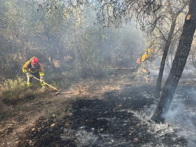 Incendio forestal declarado en el paraje Coto de los Cuadros, Murcia - 1, Foto 1