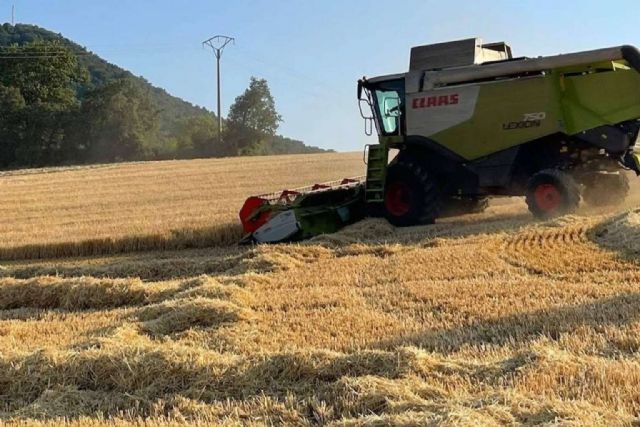 La Salve cierra el año con una nueva cifra record de consumo de cebada 100% procedente de Álava - 1, Foto 1