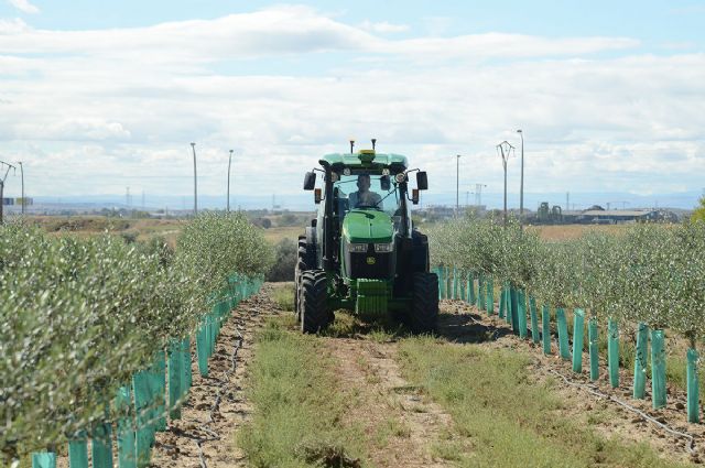 Agricultura publica ayudas extraordinarias de 9,7 millones de euros para reponer maquinaria agrícola afectada por la DANA - 1, Foto 1