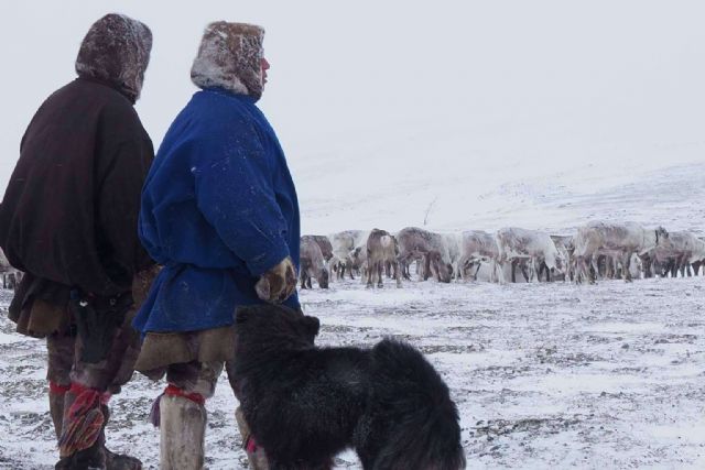 El círculo polar ártico enfrenta transformaciones extremas entre deshielos, incendios y adaptación climática - 1, Foto 1