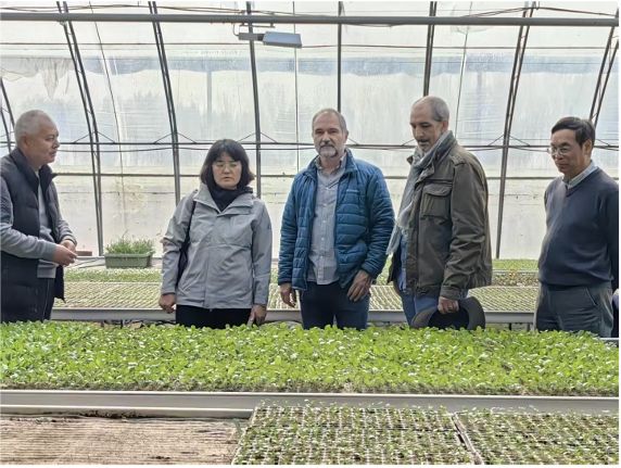 El CEBAS-CSIC impulsa una alianza científica internacional con China para avanzar en salud vegetal y microbioma agrícola El CEBAS-CSIC impulsa una alianza científica internacional con China para avanzar en salud vegetal y microbioma agrícola