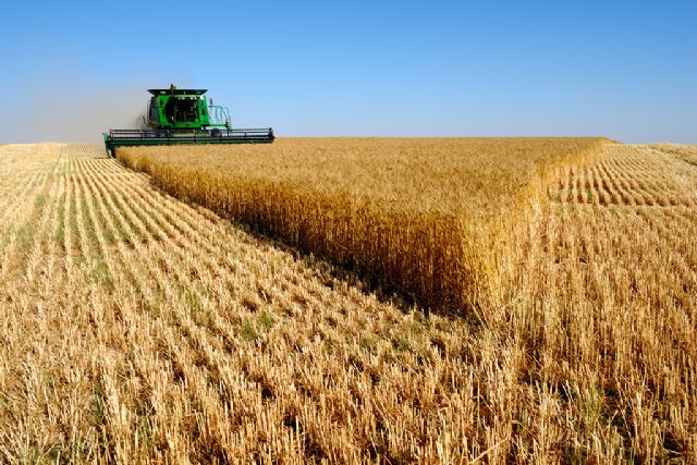 El Programa Nacional de Desarrollo Rural culmina con una ejecución del 99,32 % de los fondos previstos El Programa Nacional de Desarrollo Rural culmina con una ejecución del 99,32 % de los fondos previstos