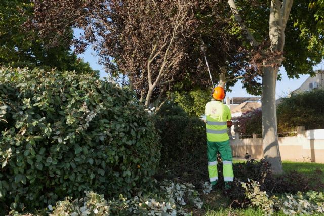 Cartagena intensifica este verano el cuidado de sus zonas verdes con un operativo especial de mantenimiento Cartagena intensifica este verano el cuidado de sus zonas verdes con un operativo especial de mantenimiento