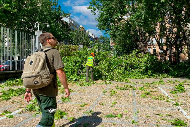 La Seguridad Social suma 280.403 afiliados en la primera quincena de julio y supera los 22,5 millones en la serie diaria La Seguridad Social suma 280.403 afiliados en la primera quincena de julio y supera los 22,5 millones en la serie diaria