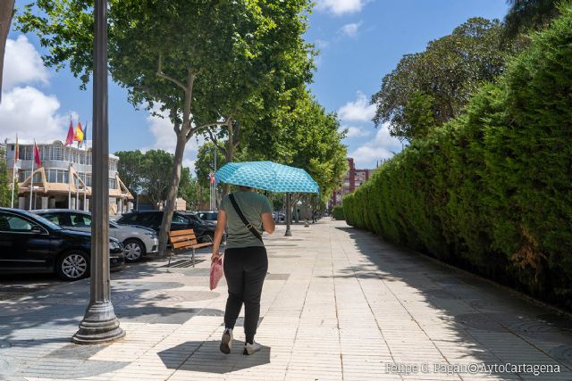 El Ayuntamiento recuerda que los edificios municipales están abiertos para que cualquier ciudadano pueda refugiarse del calor El Ayuntamiento recuerda que los edificios municipales están abiertos para que cualquier ciudadano pueda refugiarse del calor