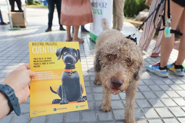 El Ayuntamiento lleva a las playas la campaña de concienciación sobre tenencia responsable de mascotas El Ayuntamiento lleva a las playas la campaña de concienciación sobre tenencia responsable de mascotas