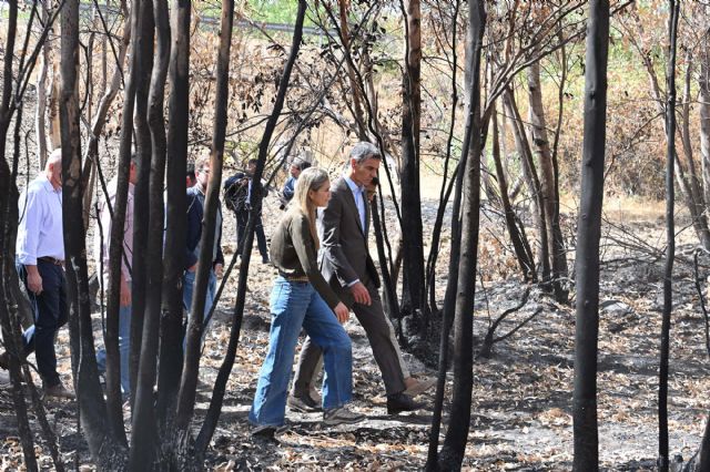 Pedro Sánchez reafirma el compromiso del Gobierno para luchar contra la emergencia climática en su visita a la zona afectada por el incendio de Niebla (Huelva) Pedro Sánchez reafirma el compromiso del Gobierno para luchar contra la emergencia climática en su visita a la zona afectada por el incendio de Niebla (Huelva)