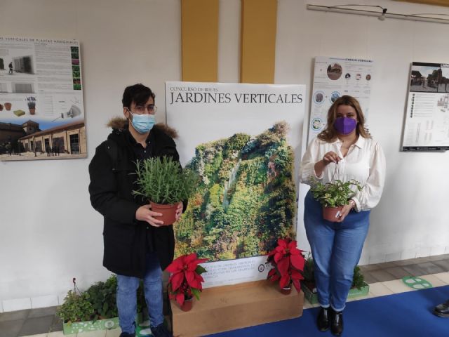 Alumnos de la UCAM diseñan jardines verticales con plantas medicinales - 1, Foto 1