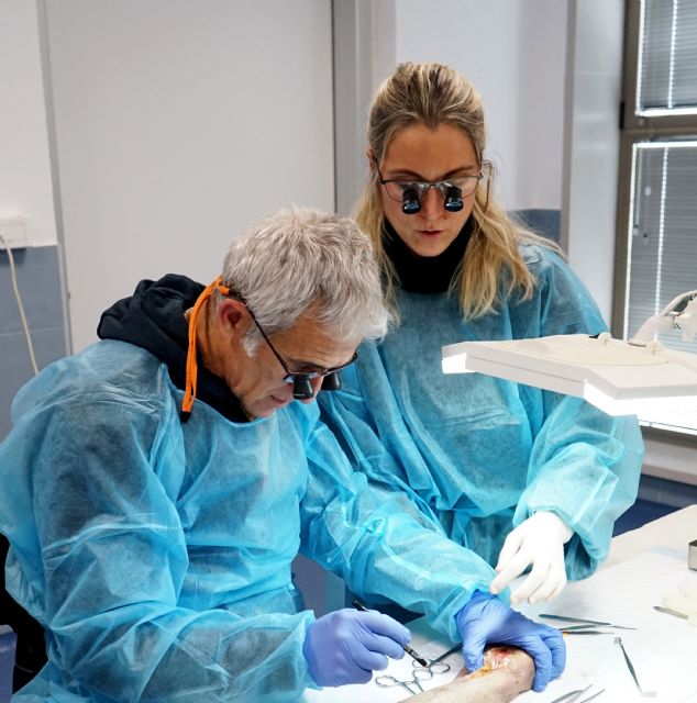 La Arrixaca acoge el primer curso especializado de traumatismo agudo de codo, mano y muñeca - 1, Foto 1