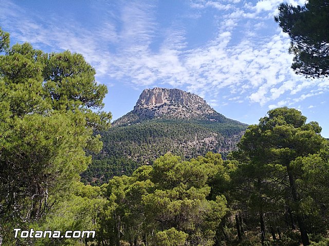 Podemos rechaza la modificación a la carta de los límites del Parque Natural de Sierra Espuna que pretenden el PP y Vox para favorecer intereses particulares, Foto 3