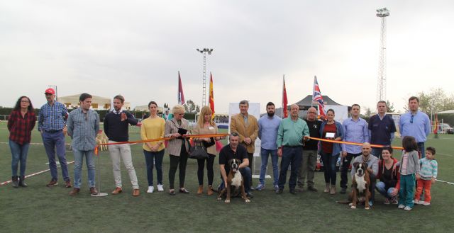 Más de 300 ejemplares de 50 razas en el VII Concurso Nacional Canino Ciudad de Puerto Lumbreras - 1, Foto 1