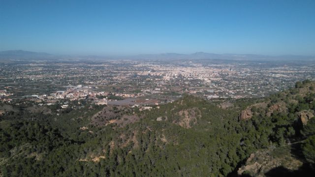 Huermur propone 50 medidas urgentes para salvar la huerta ante los posibles cambios de gobierno - 2, Foto 2