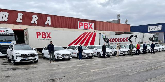 Campillo Palmera amplía la flota de vehículos comerciales de la mano de Hyundai Gasmovil - 1, Foto 1