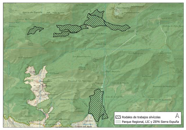 Parque Regional de Sierra Espuña: Trabajos de gestión forestal para rejuvenecimiento del bosque, Foto 1