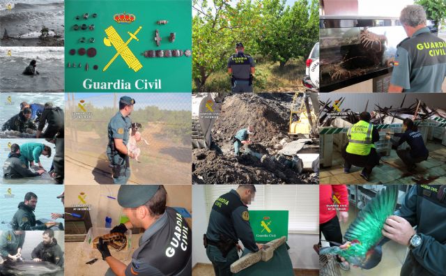 El SEPRONA de la Guardia Civil ha detenido o investigado a 44 personas por delitos medioambientales - 1, Foto 1