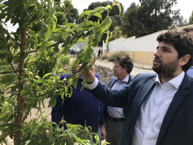 Fernando López Miras mantiene un encuentro con representantes de Apoexpa con motivo del inicio de la campaña de fruta de hueso - 2, Foto 2