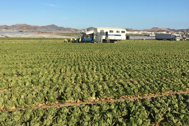 Rebaja fiscal de 1.000 millones de euros para agricultores y ganaderos - 1, Foto 1