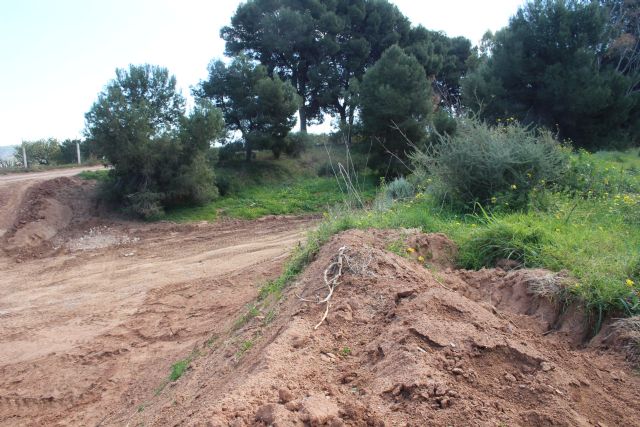 La CHS somete a información pública el proyecto de restauración de la rambla de Las Matildes - 2, Foto 2