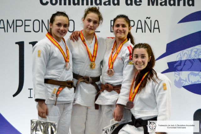 JUDO: Vlada Plata y Josemi Bronce en el Cto. de España Escolar. - 1, Foto 1