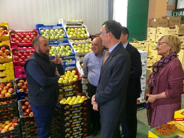 La comercialización de frutas se incrementa cerca de un 5% en Mercamurcia - 2, Foto 2