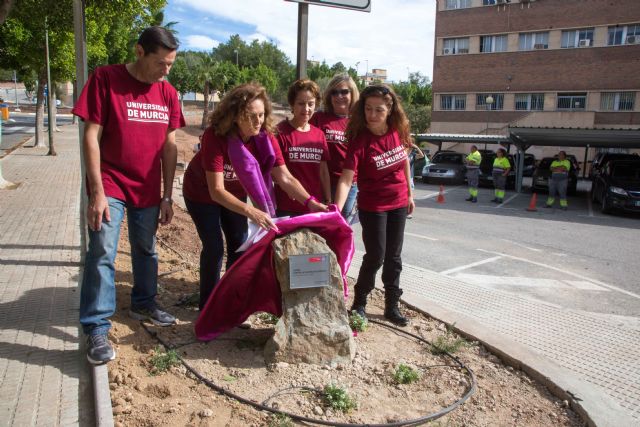 UMU inaugura mañana un Jardín contra la Violencia de Género - 1, Foto 1